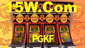 Premium Interface PGKF